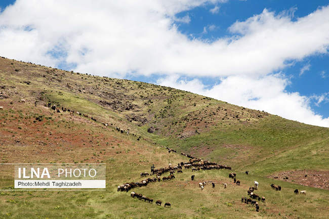 طبیعت گردشگری شهرستان طالقان