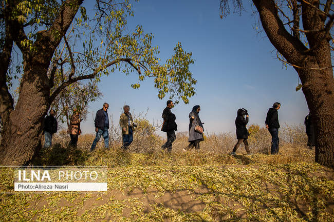 باغستان سنتی؛ میراث کهن مردم قزوین 