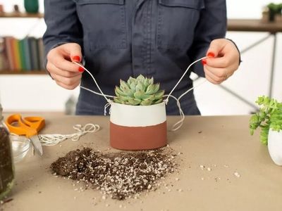 چگونه از بطری‌ پلاستیکی گلدان‌ بسازیم؟
