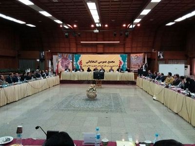 سلطانی فر در انتخابات فدراسیون ناشنوایان حضور یافت/ 4 کاندید انصراف دادند