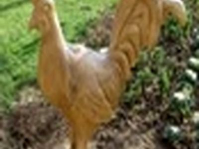 حکاکی حیوانات مختلف بر روی درختان خشکیده در پارک فرشتگان تبریز