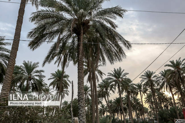 حال و هوای کربلا در ایام اربعین