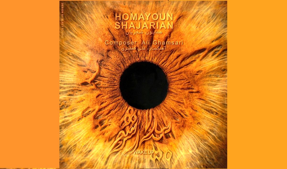 «بیدار شو» اثر جدید همایون شجریان و علی قمصری+صوت
