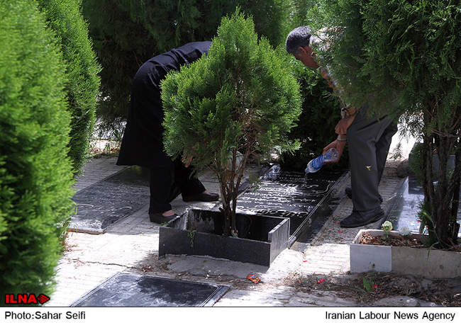 پدران خفته در خاک...