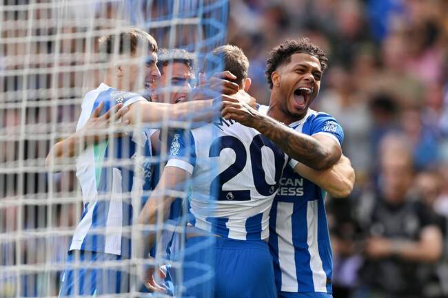 Brighton   Hove Albion v Manchester City - Premier League (6)