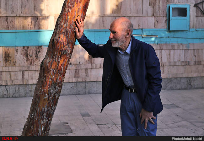 بهزاد نبوی