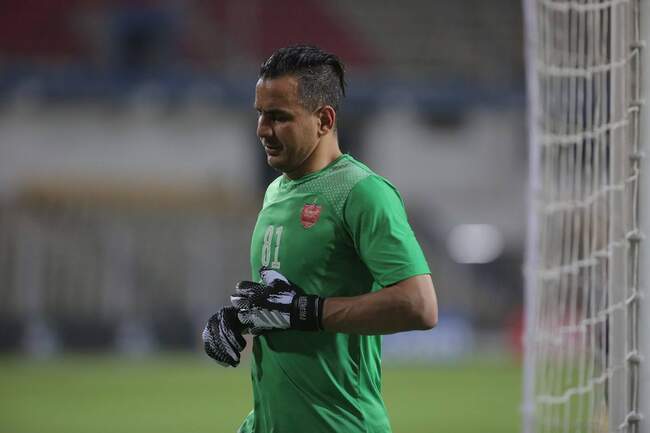 حامد لک