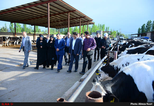 سفر یک روزه معاون توسعه روستایی کشور به قزوین