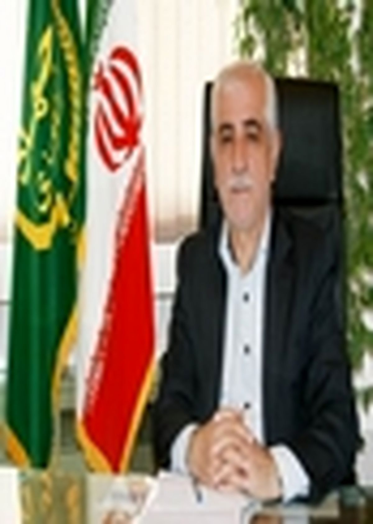 برداشت رتون در بیش از ۵۰ هزار هکتار از شالیزارهای مازندران