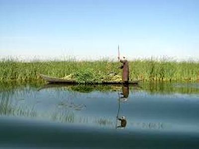 بررسی مشکل ریزگردها و حقآبه سیستان در شورای عالی شهرسازی