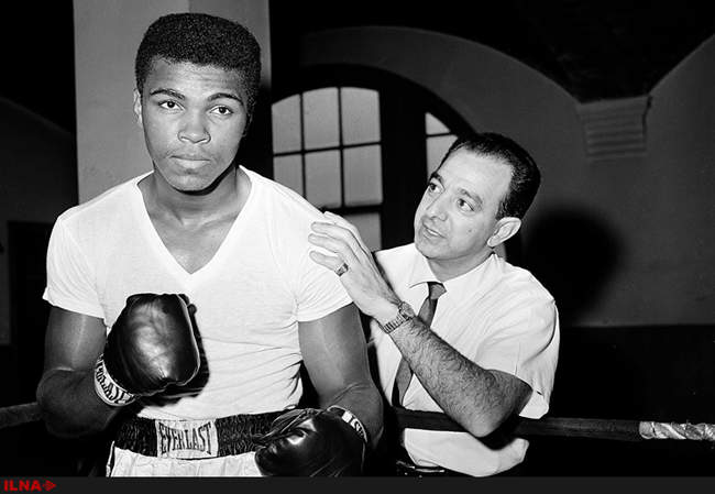 محمدعلی کلی درگذشت 