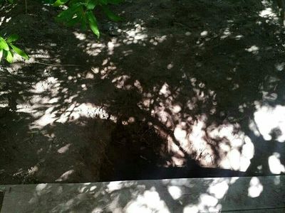 دستگیری 3 حفار غیرمجاز در داورزن خراسان رضوی