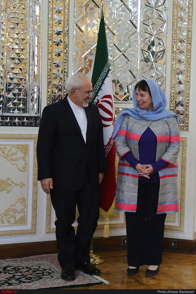 Zarif meets Dutch counterpart in Tehran