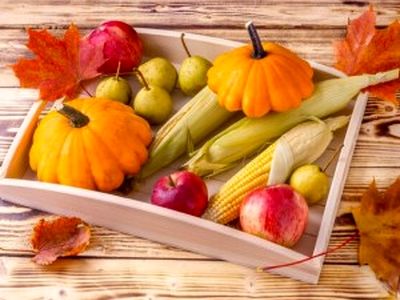 بهترین مواد غذایی برای تقویت سیستم ایمنی بدن در فصل پاییز
