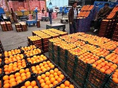 صادرات 70 درصدی مرکبات ساری 
