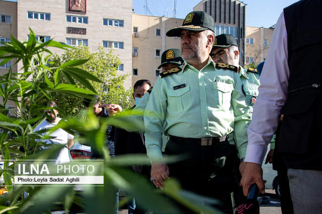 اجرای پنجاه و نهمین طرح رعد پلیس پایتخت