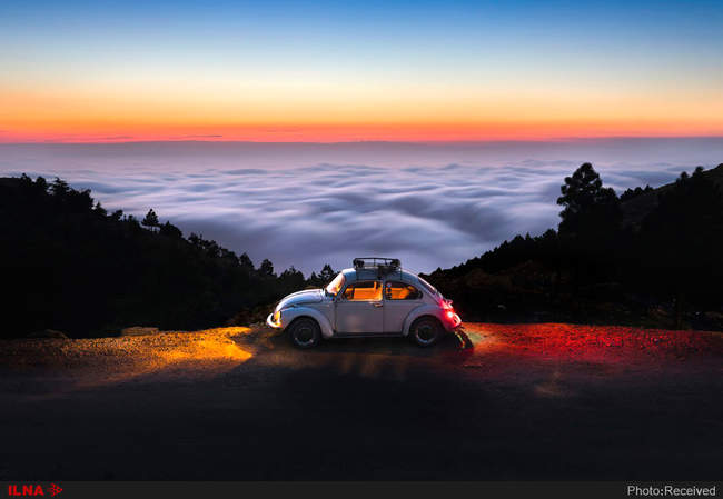                                                                             منتخبی از عکسهای برگزیده ن�