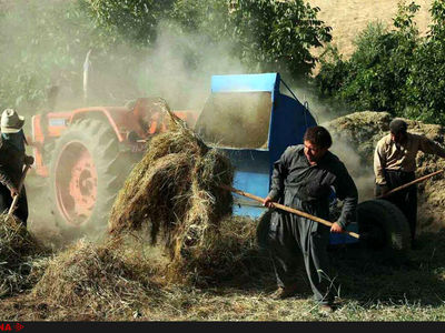 مرگ دلخراش کشاورز سنندجی حین کار با خرمن‌کوب