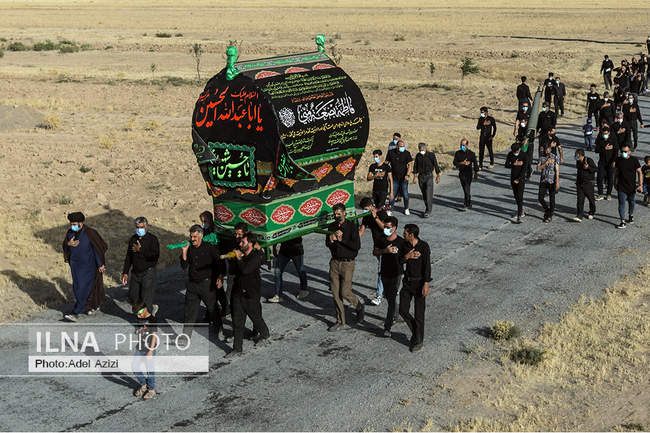 نخل‌گردانی روز عاشورا در پیرمراداباد اراک‎