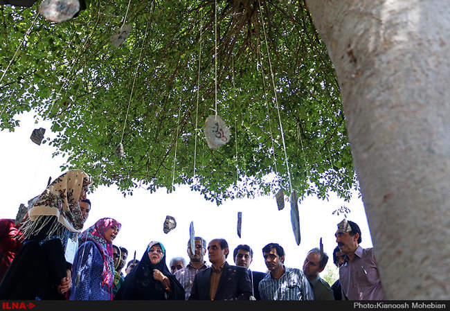 سفر معصومه ابتکار به استان مازندران به مناسبت روز حفاظت از جنگل ها