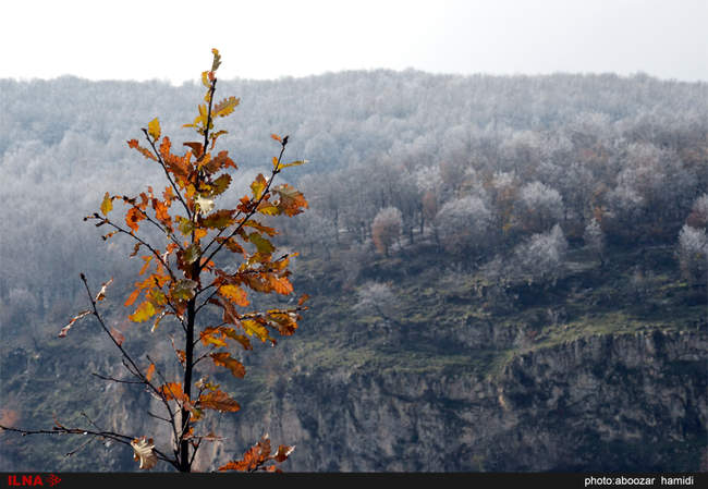 طبیعتِ پاییز در رودبار گیلان