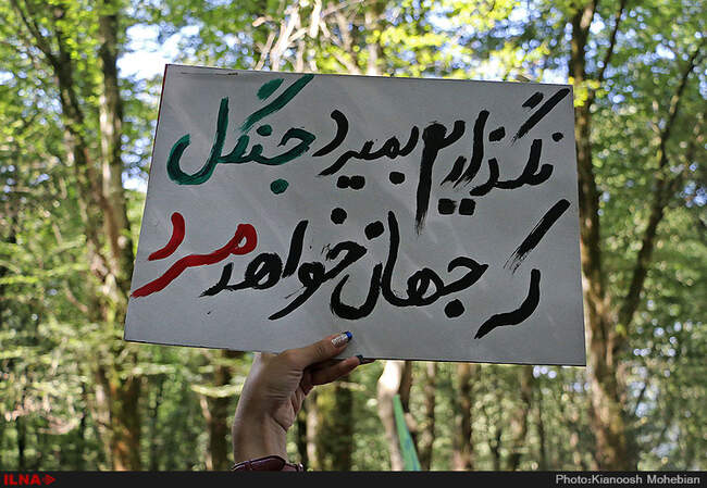 سفر معصومه ابتکار به استان مازندران