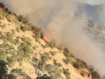 ۳۰۰ هکتار از مراتع و جنگل‌های باینگان در آتش سوخت