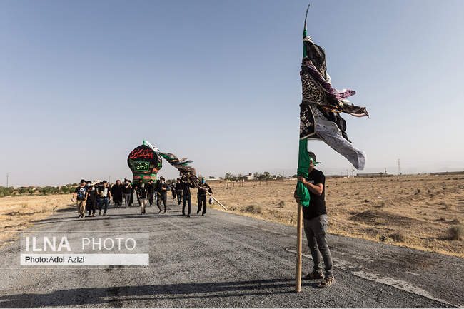 نخلگردانی روز عاشورا در پیرمراداباد اراک