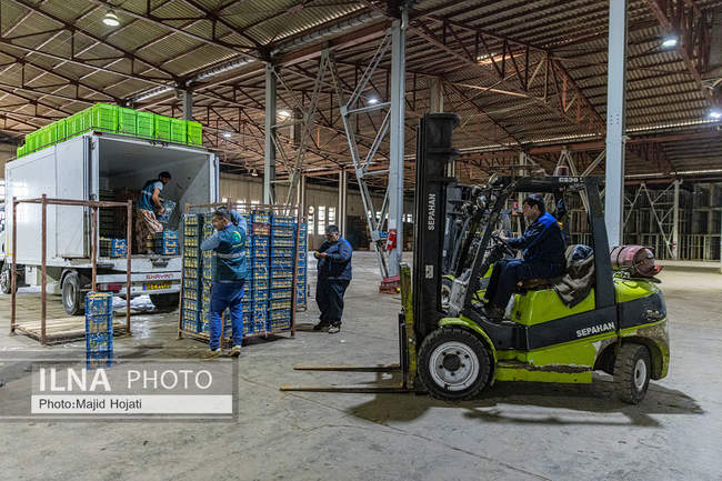 از مزرعه تا صنایع تبدیلی