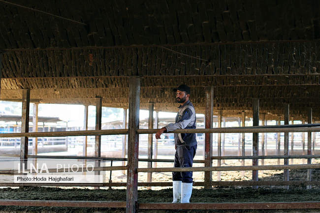 تولید در مسیر پیشرفت مناطق محروم
