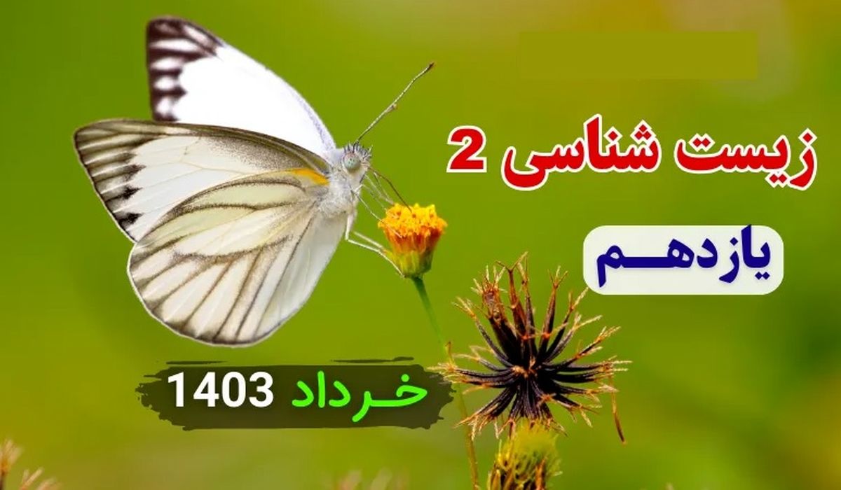دانلود سوالات امتحان شبه نهایی زیست شناسی ۲ پایه یازدهم مدارس برتر خرداد ۱۴۰۳