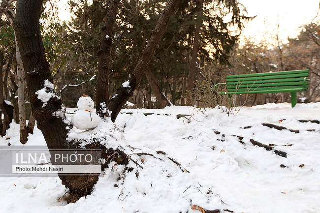 برف زمستانی پارک جمشیدیه