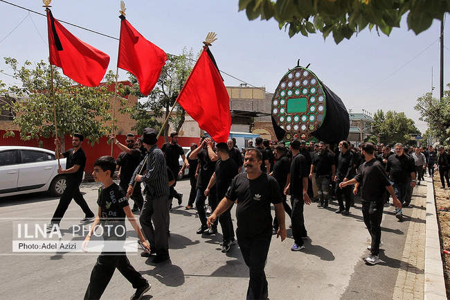 آیین نخلگردانی ظهر عاشورا در تفرش
