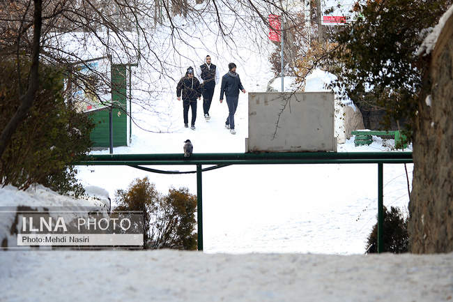 برف زمستانی پارک جمشیدیه