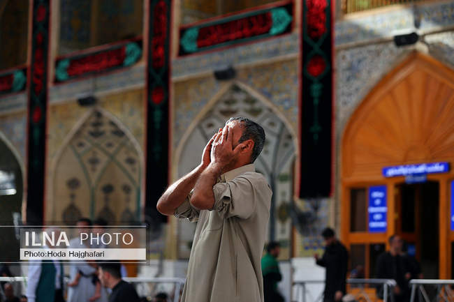 زائران حضرت امیرالمومنین علیه السلام 