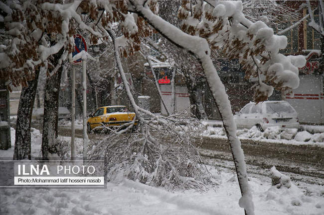 برف شدید  در کردستان 