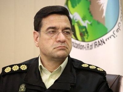 هشدار نسبت به قاچاق خاکِ جنگل‌های شمال کشور/ افزایش ۲۰ درصدی پرونده‌های قاچاق چوب