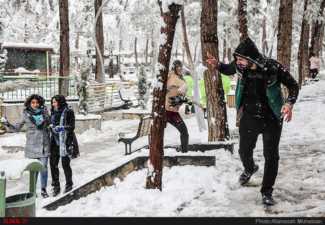 صبح برفی تهران