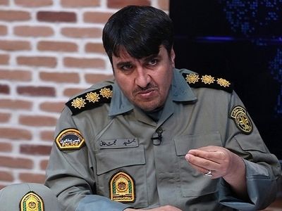 جزئیات حمله سگ‌های رهاشده به یک شهروند در پارک پردیسان تهران/غذارسانی به گربه‌ها و سگ‌های رهاشده باعث برهم خوردن اکوسیستم می‌شود 