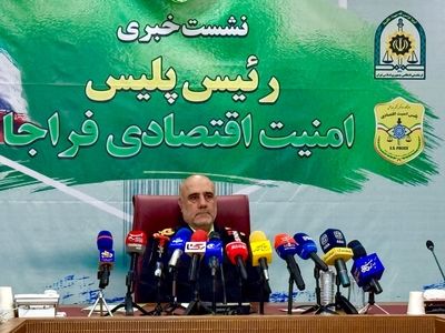 انهدام ۵۱۹ باند مجرمان اقتصادی در ۹ ماهه نخست امسال