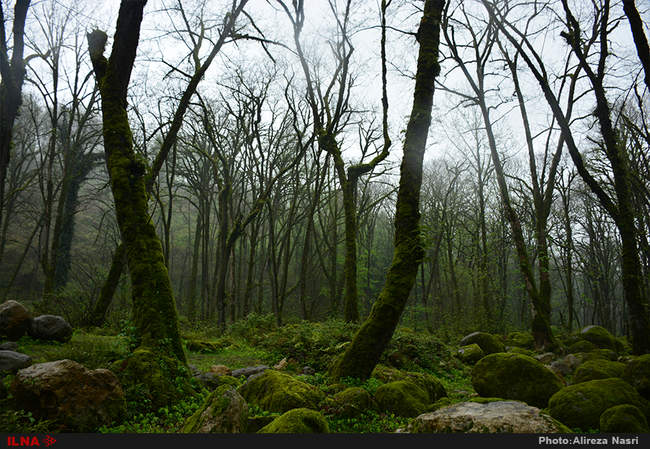 ایران زیبا/ متل قو