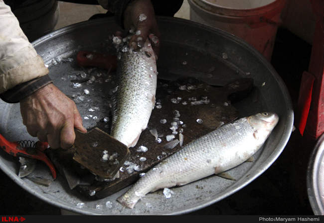 یک روز بارانی در بازار نوشهر