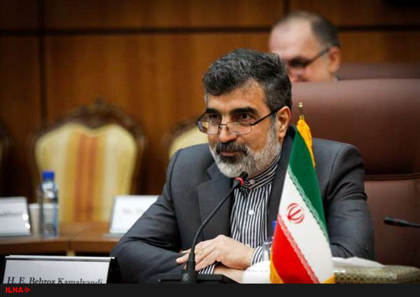 خلاء نظارتی مورد ادعای آژانس مبنای حقوقی ندارد/ ایران پاسخ سوالات آژانس را داده است