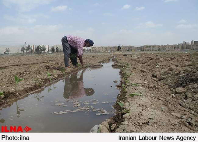 نمایشگاه عکس «سفید و سیاه»