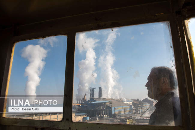 تولید شکر از چغندر قند 