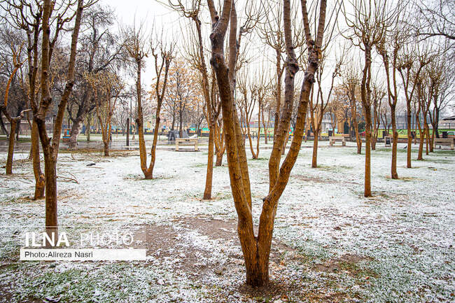  برف زمستانی