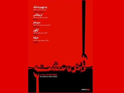 اکران فیلم‌های کوتاه باید مستمر باشد/ ادبیات ما مملو از مولفه‌های مورد استفاده در سینمای ترسناک است/ ریسک بالای ساخت فیلم ترسناک برای سرمایه‌گذارها