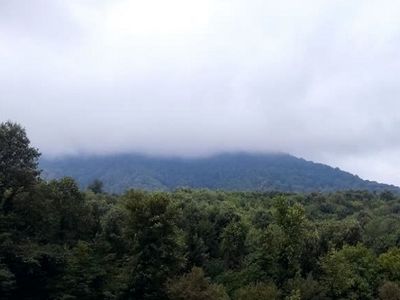 تایید ثبت «روز ملی جنگل و کوهستان» در تقویم رسمی ایران