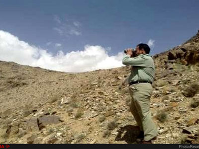 محیط بان فارسی در پی حمله شکارچیان مجروح  شد