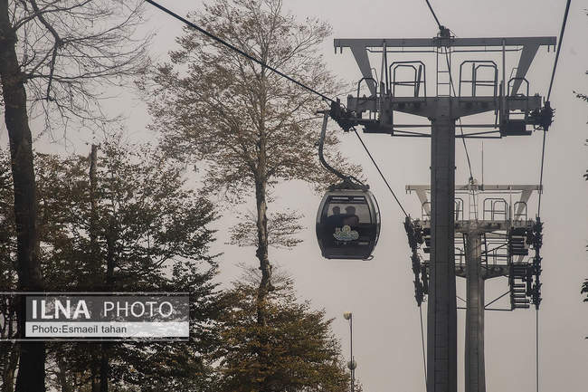 چشم انداز جنگل و دریا در قاب طبیعت